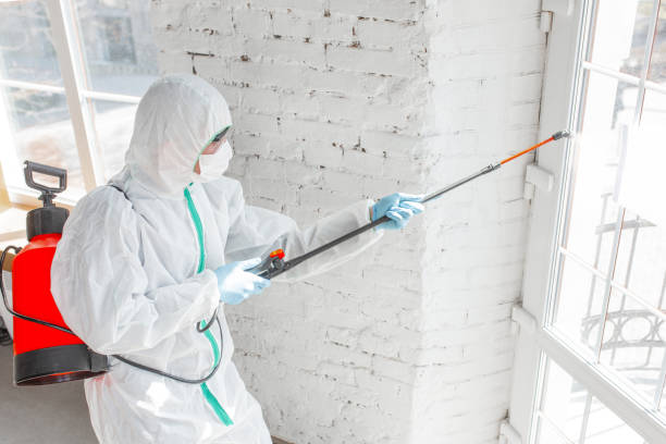 Kenton, OH Mold Removal Company